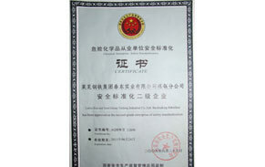?；钒踩珮藴驶C書